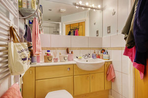 Shower Room- click for photo gallery